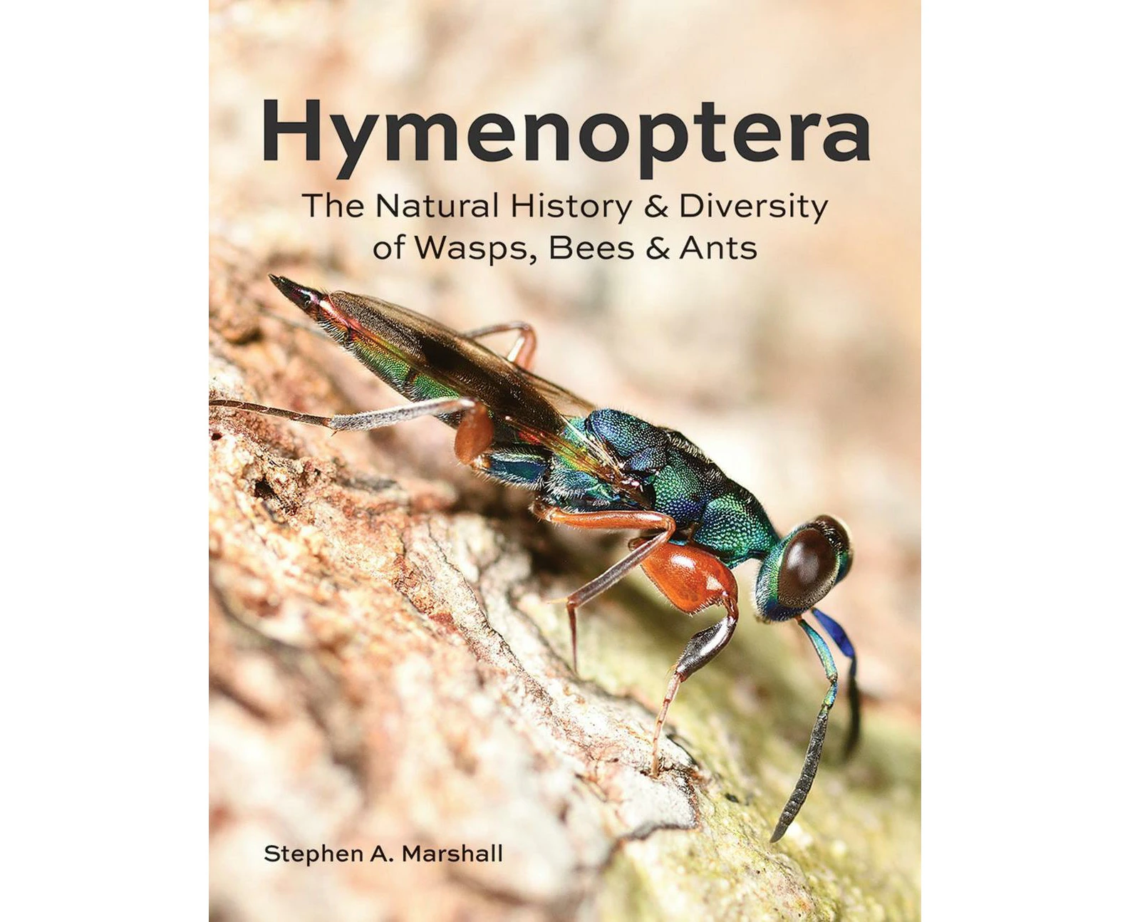 Hymenoptera