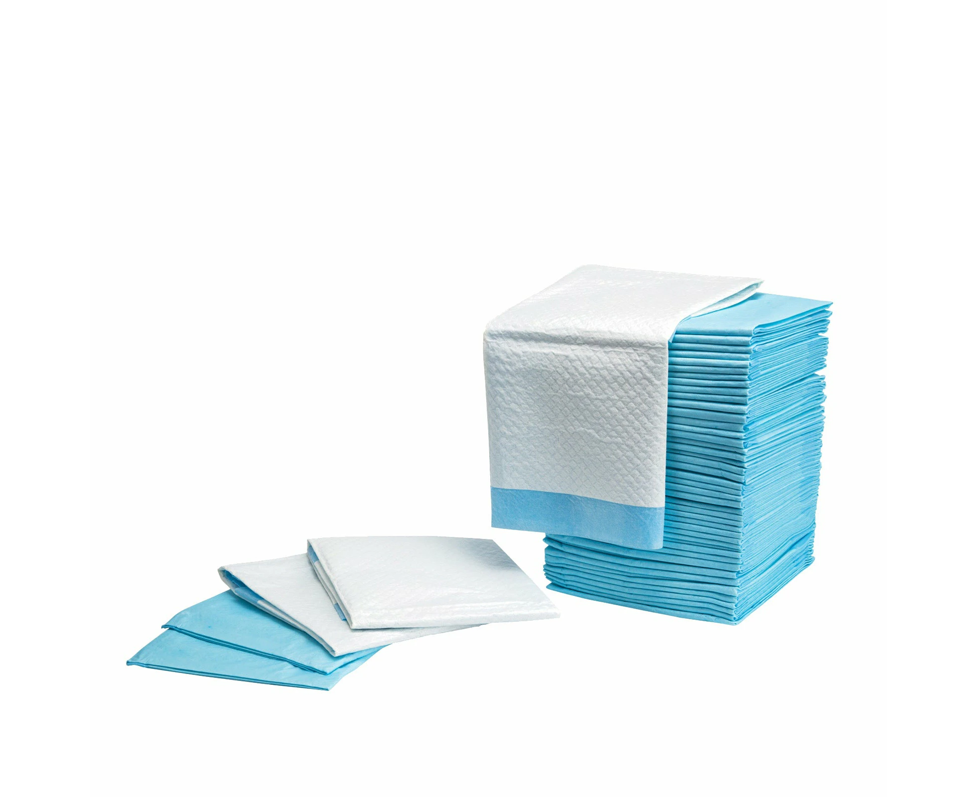 Paw Mate 100PCS Blue Pet Dog Cat Potty Training Toilet Mat Pads