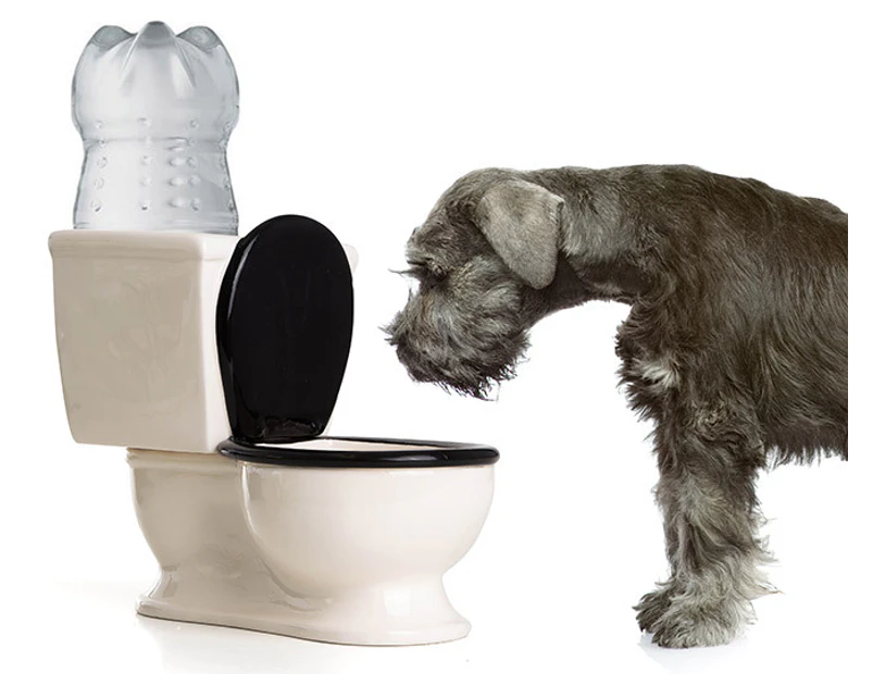 Toilet Water Pet Dish