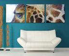 3-Part Canvas Set 57 x 57cm - Giraffe Eye