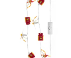 Official AFL 20 Piece Decorative String Lighting- GC Suns