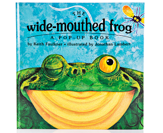 The Wide Mouthed Frog Book | Catch.com.au