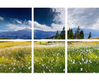 Set of 6 Willow & Silk 40x40cm Swiss Alps In Summer Canvas Wall Art