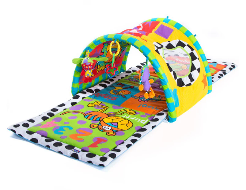 Playgro best sale tunnel gym