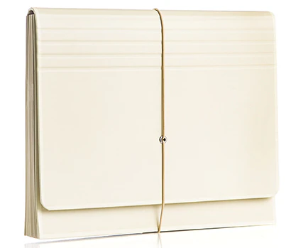 Semikolon Accordion Document Folder - Chamois