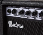 Monterey 15W Guitar Amp