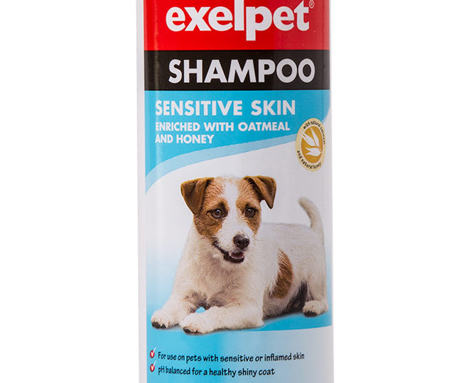 Exelpet shampoo clearance